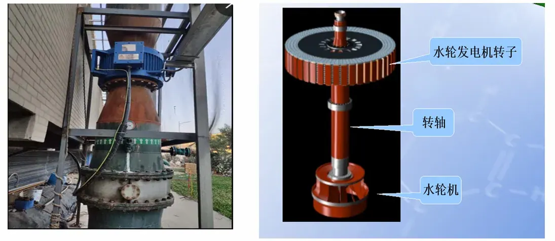 Grupo turbina-generador en su posición, junto al esquema del rotor, el eje y la turbina